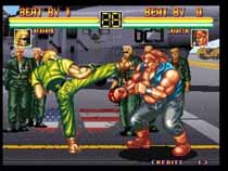 art-of-fighting-ftc